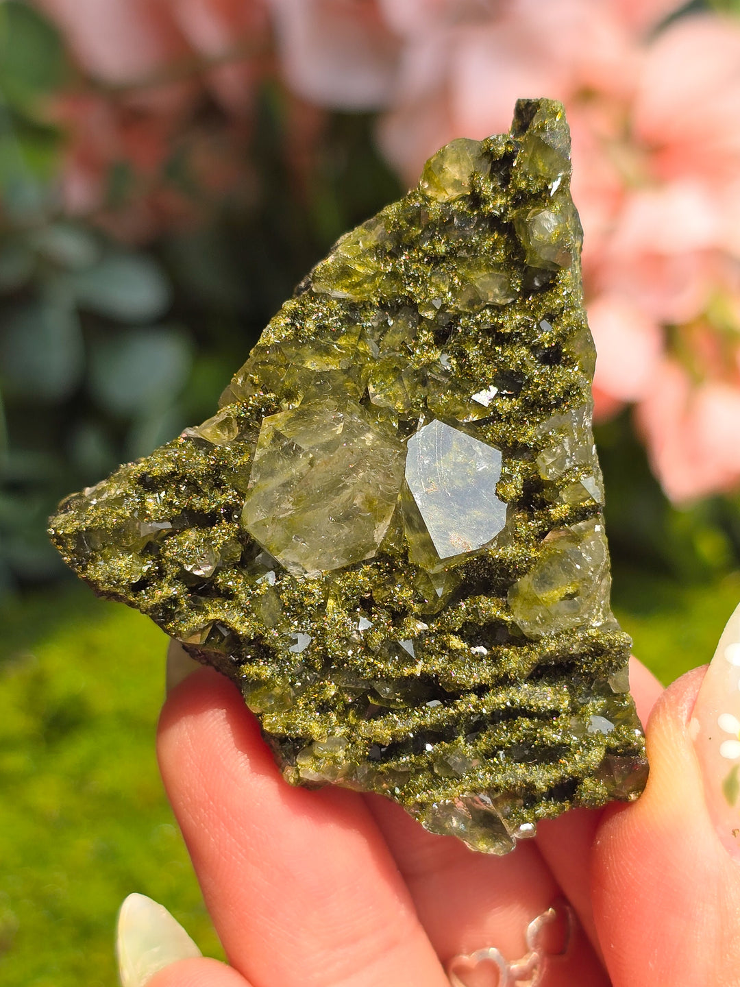 Fairy Forest Epidote with Quartz