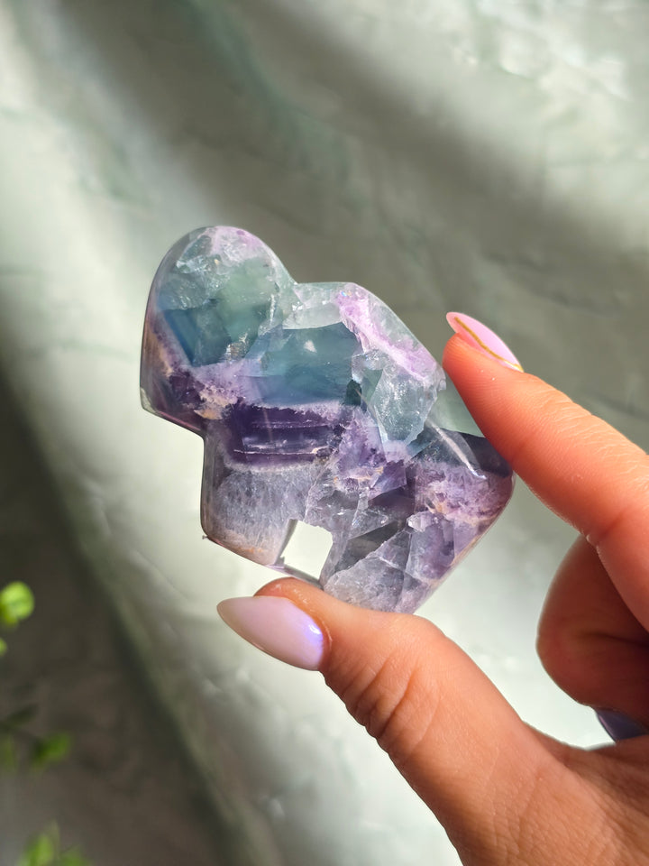 You Pick , Rainbow Fluorite from Durango Mexico