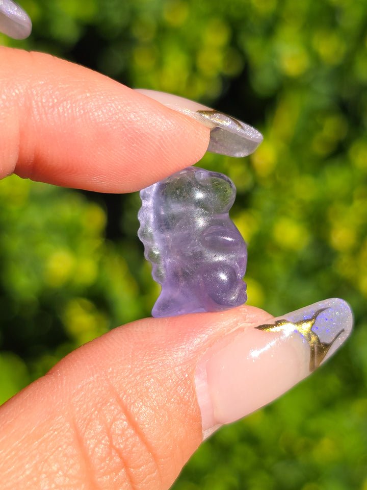 Mini Fluorite Chubby Dino