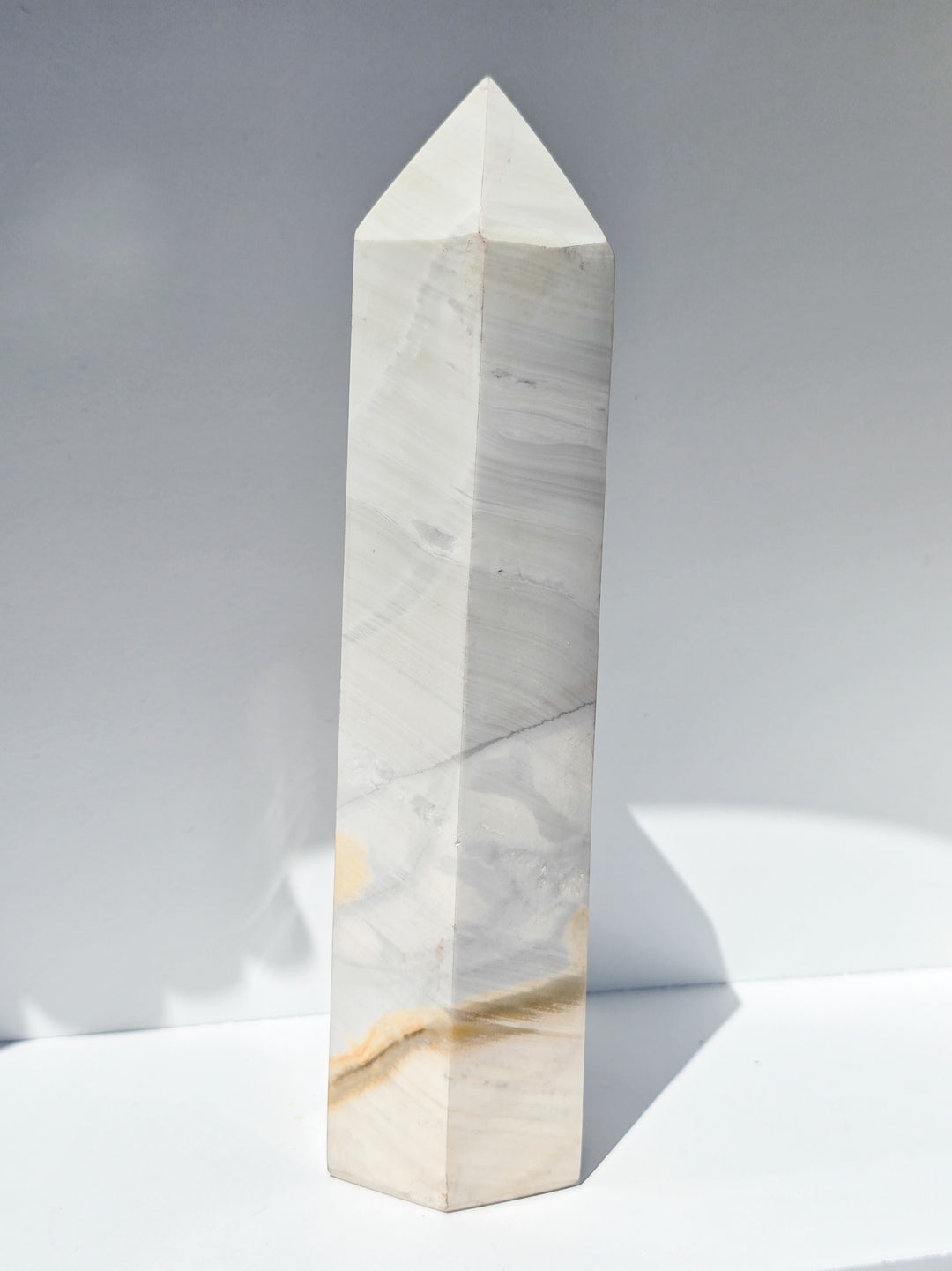 Zebra Jasper b