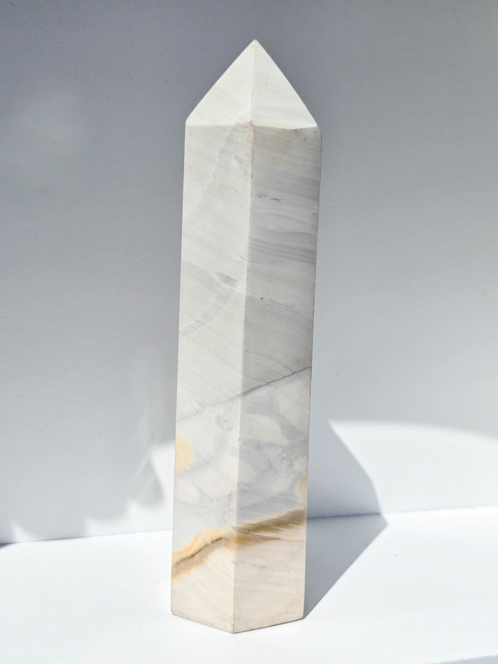 Zebra Jasper b