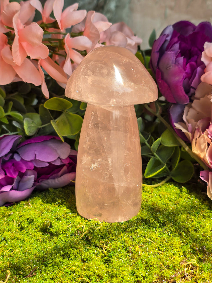 Rose Quartz Mushie D
