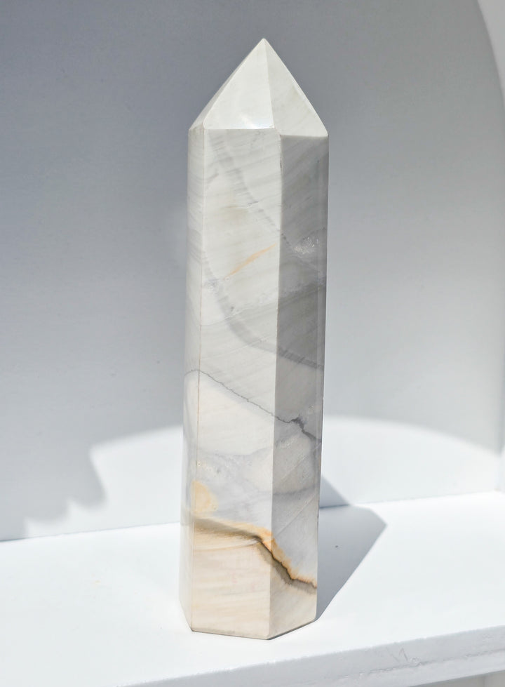Zebra Jasper b