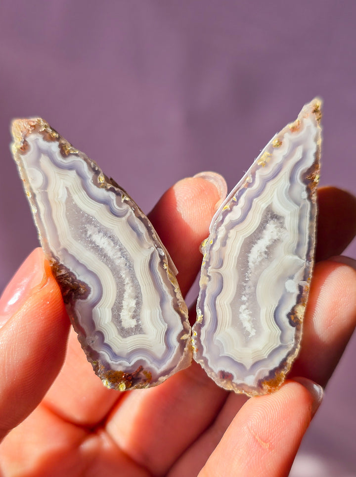 Green Lee Agate 🧚‍♀️Pair "Nardi" j