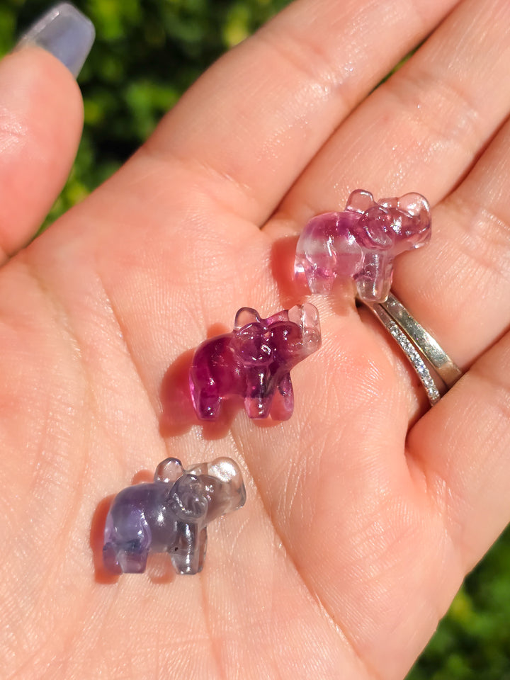 Mini Fluorite Ellie