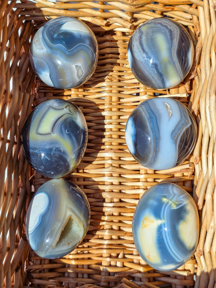 You Pick , Large Orca Agate Palm
