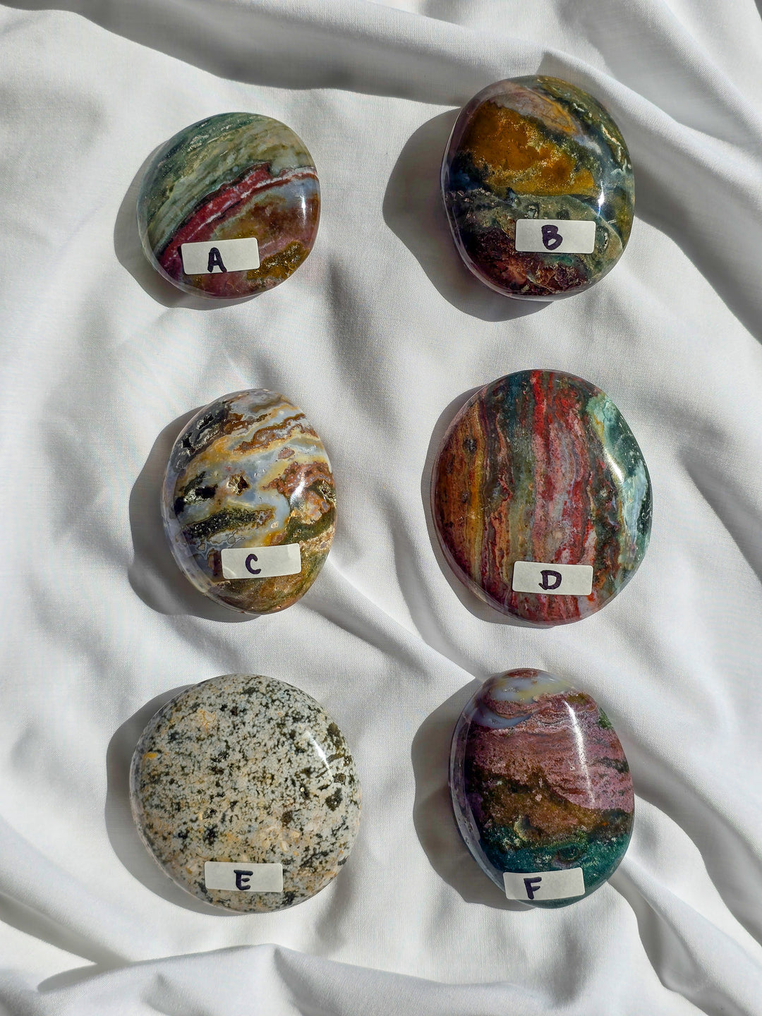 Sea Jasper Palm Stone " Hidden Forest"