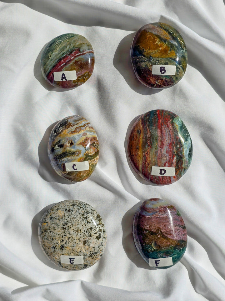 Sea Jasper Palm Stone " Hidden Forest"