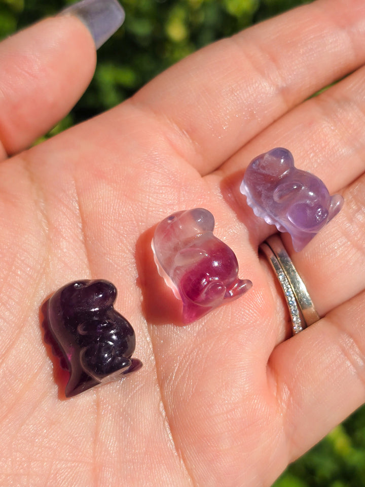 Mini Fluorite Chubby Dino