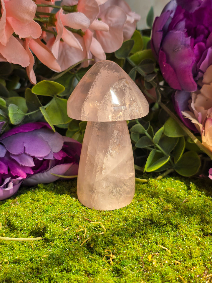 Rose Quartz Mushie E