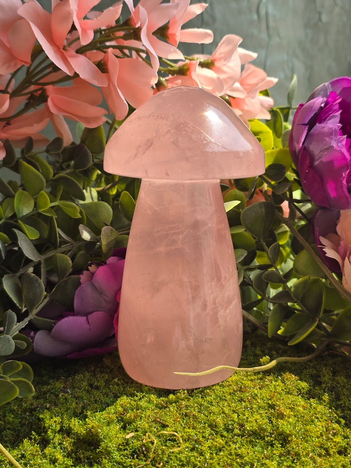 Rose Quartz Mushie A