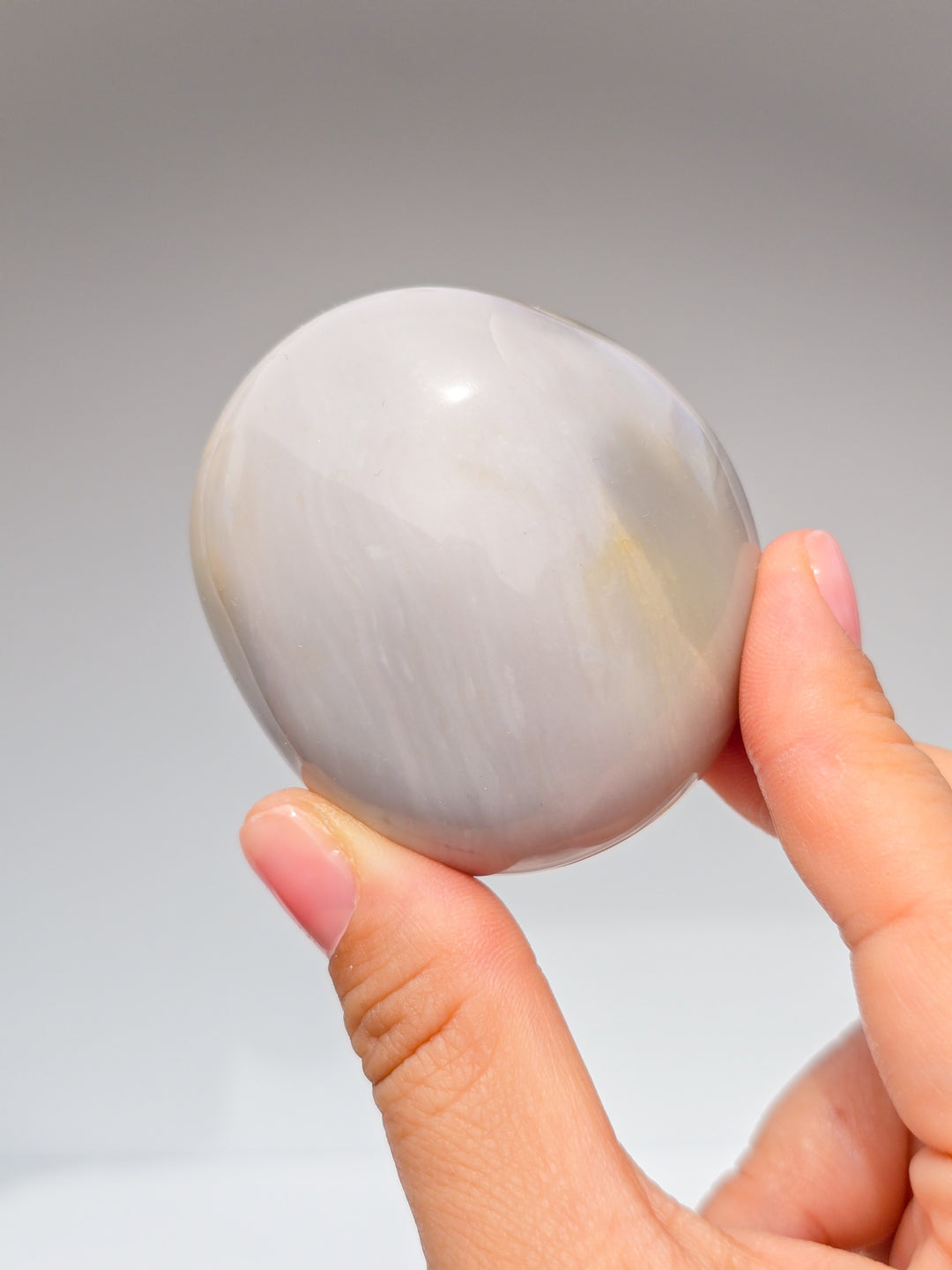 Zebra &amp; Sea Jasper Palmstones