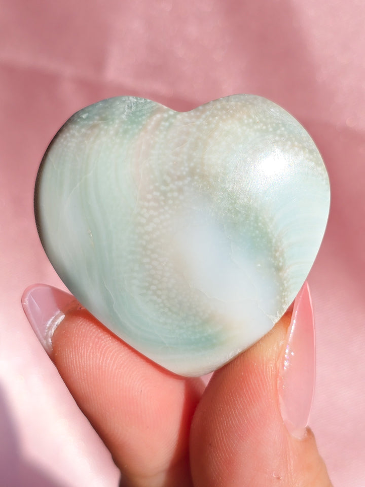 Pacific Cats Eye (Shiva Shell) Heart