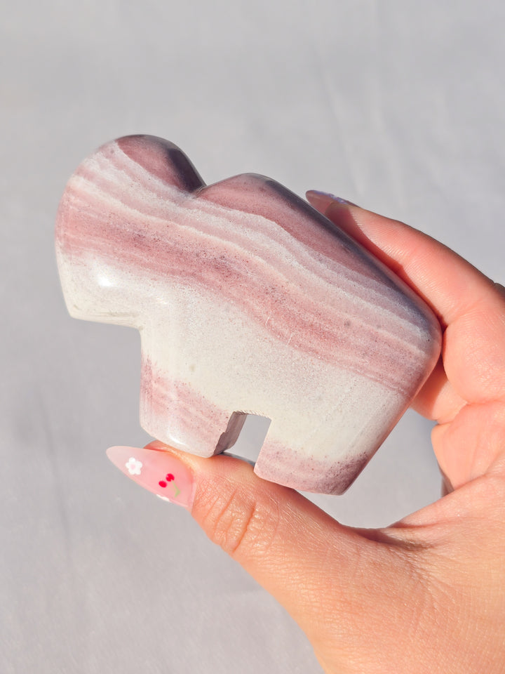 🌈 Rhyolite Bison Medium C