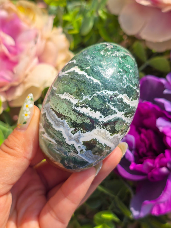 Zebra Blood Jasper Lingham L4