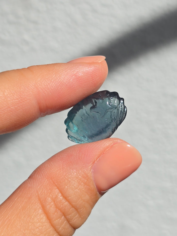Mini Fluorite Clam