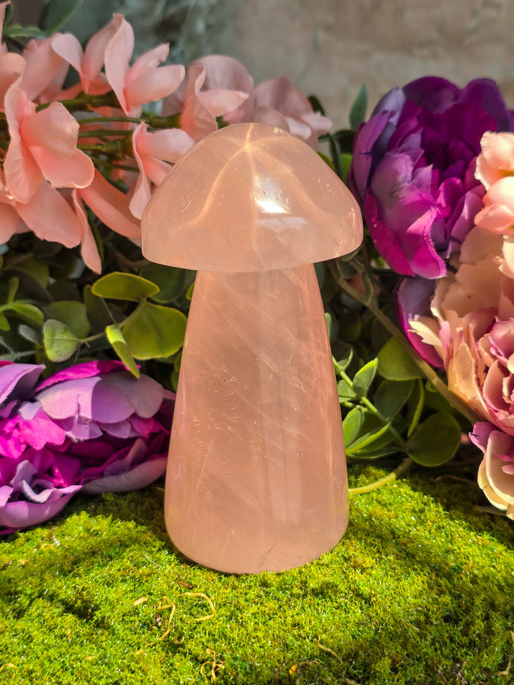 Rose Quartz Mushie C