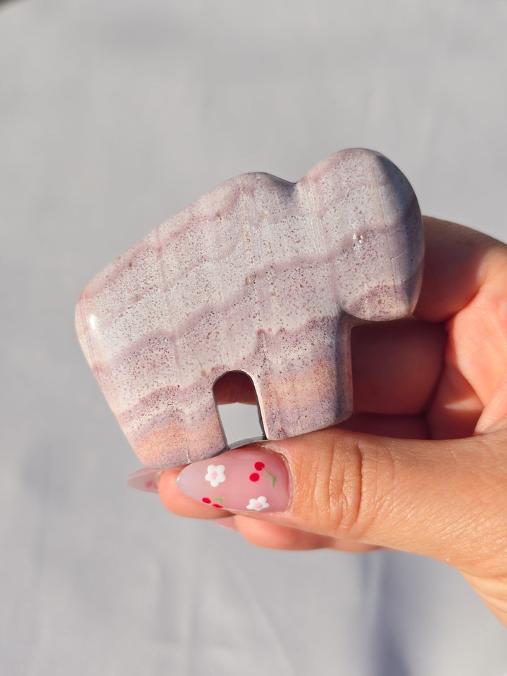 🌈 Rhyolite Bison Small , You Pick