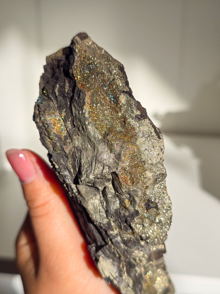 Marcasite on Petrified Wood