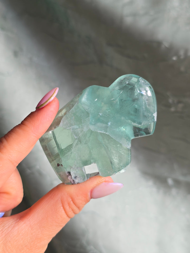 You Pick , Rainbow Fluorite from Durango Mexico