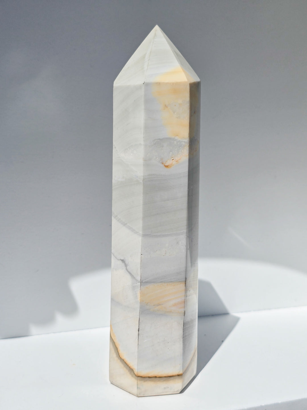 Zebra Jasper b