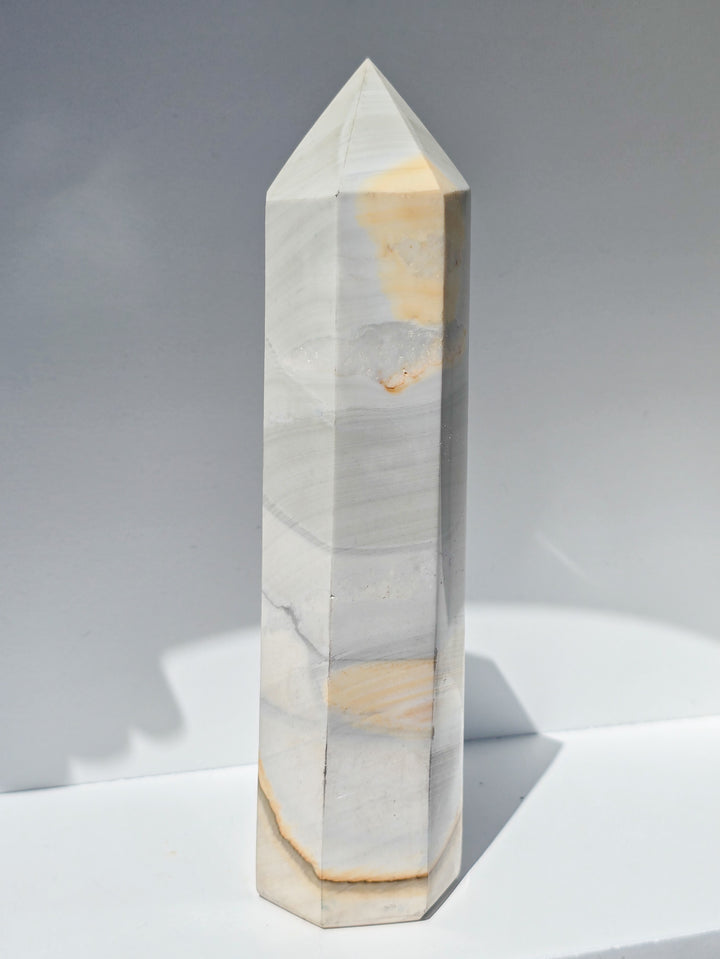 Zebra Jasper b