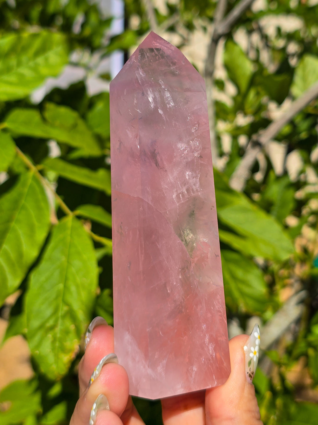 HQ Brazillian Rose Quartz Tower T5