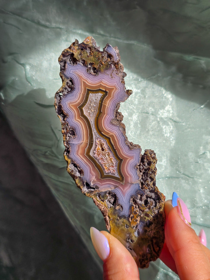 Laguna Agate Slice