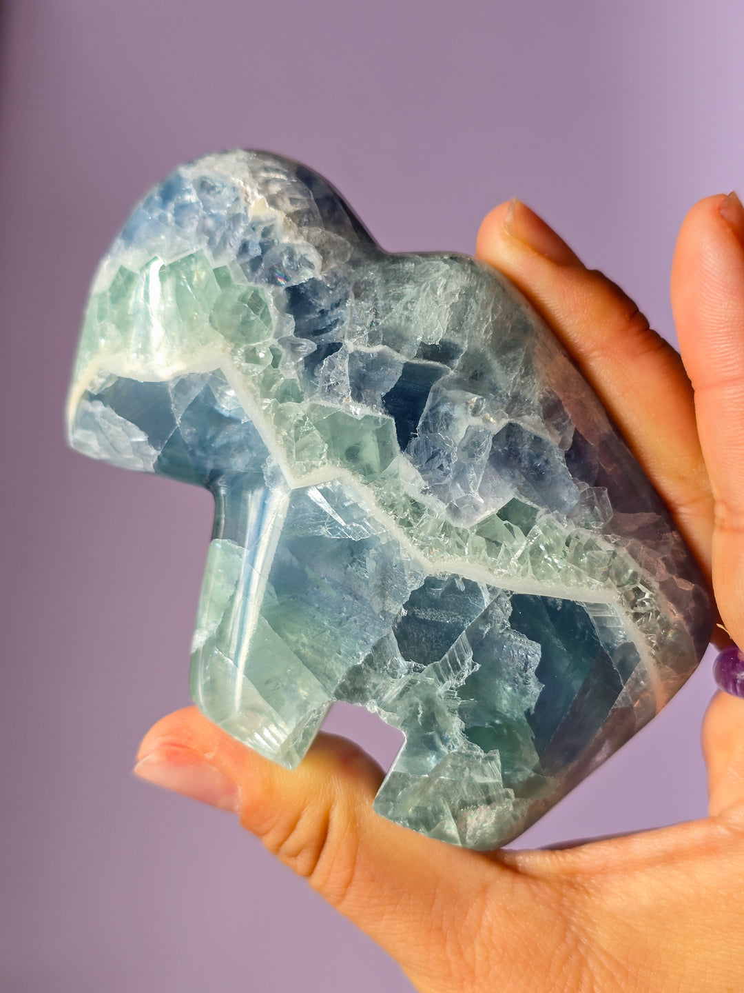 Mexican Rainbow Fluorite Bison