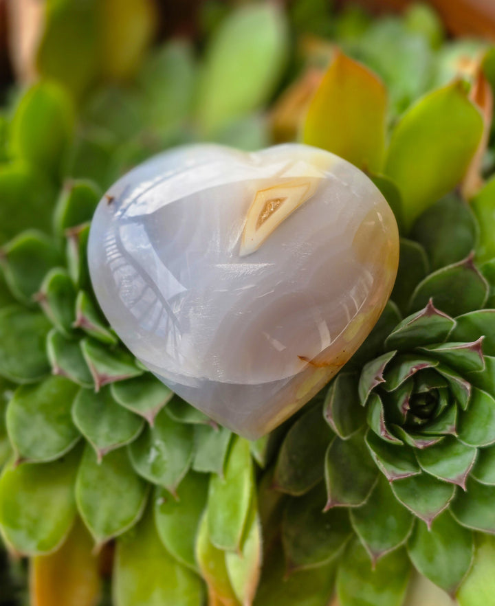 Agate Heart (d)