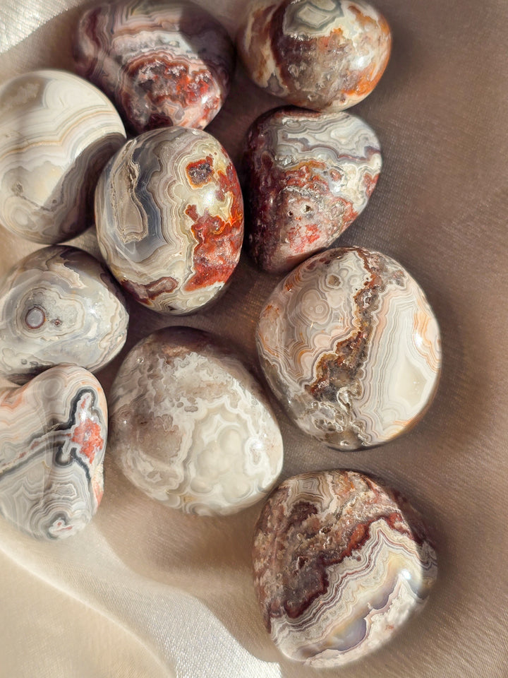 Large Mexican Crazy Lace Agate Tumbles