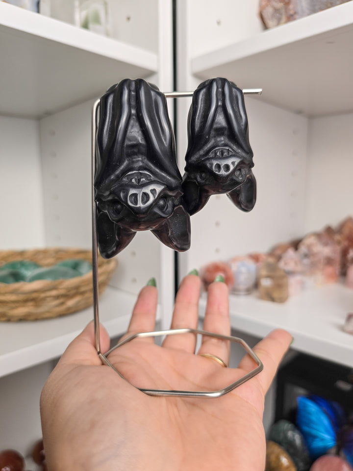 Friendly Hanging Bats