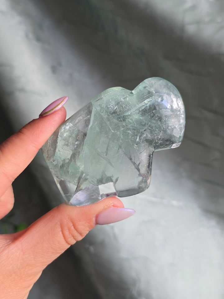 You Pick , Rainbow Fluorite from Durango Mexico