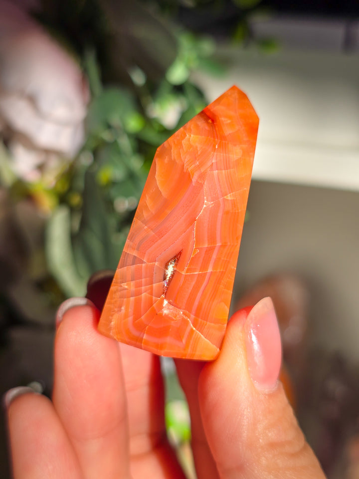 Brazillian Carnelian Towers