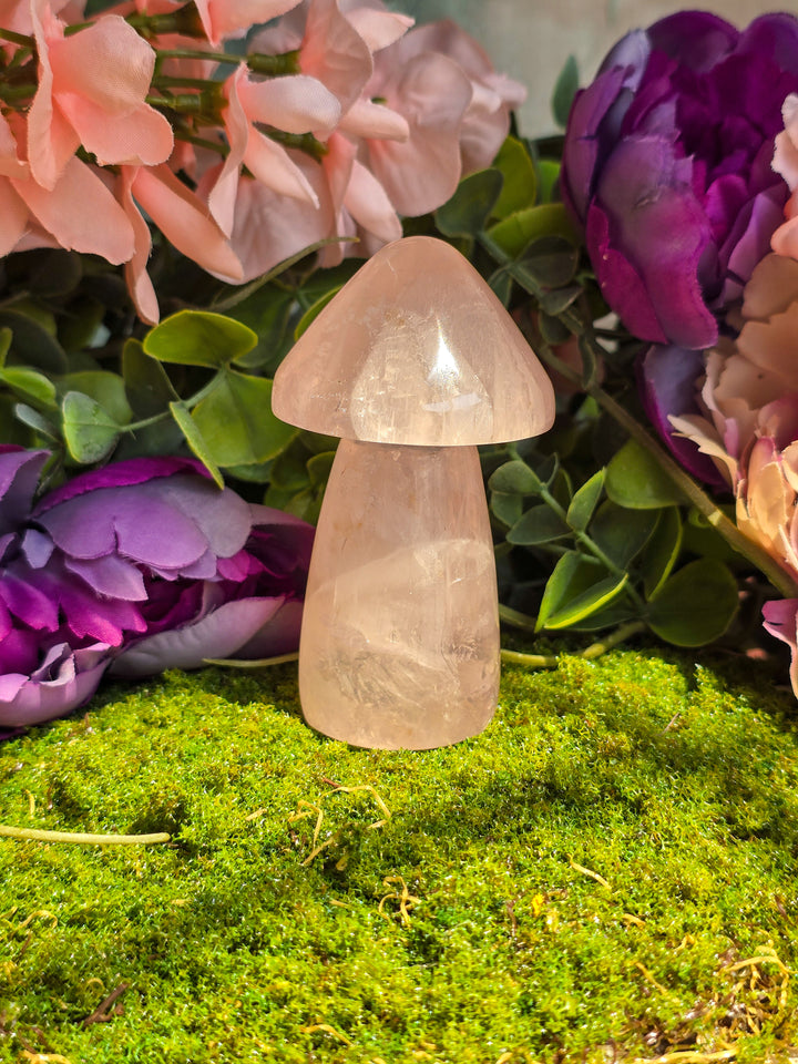 Rose Quartz Mushie E