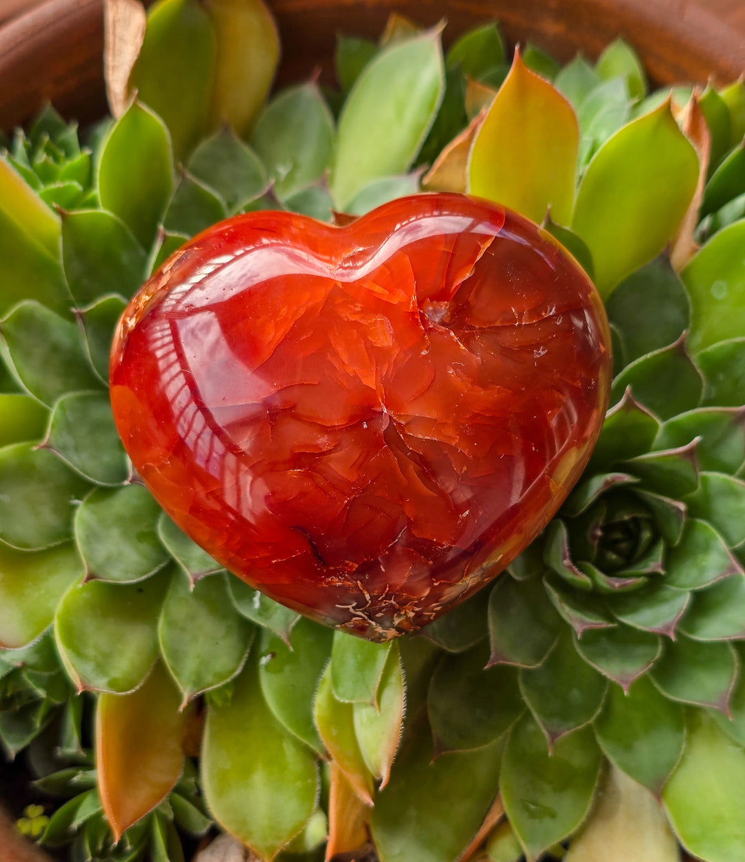 Carnelian Heart (b)