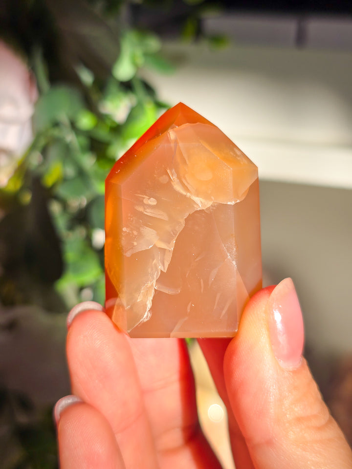 Brazillian Carnelian Towers