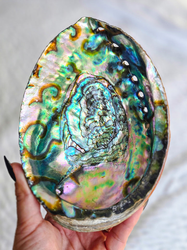 Abalone Bowl