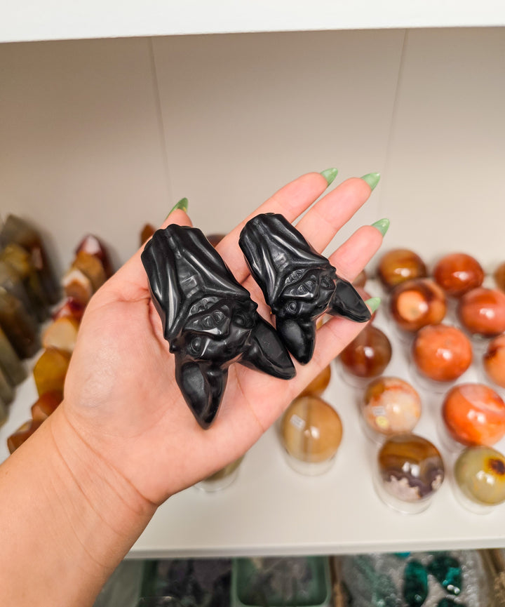 Friendly Hanging Bats