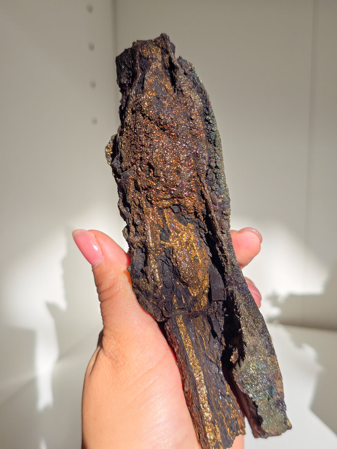 Marcasite on Petrified Wood