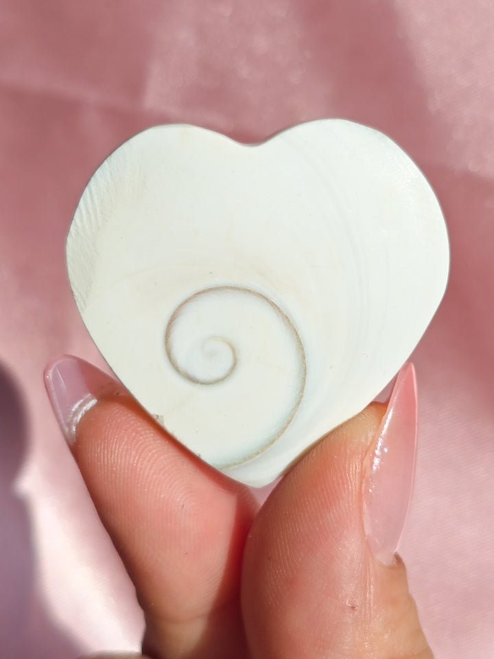 Pacific Cats Eye (Shiva Shell) Heart