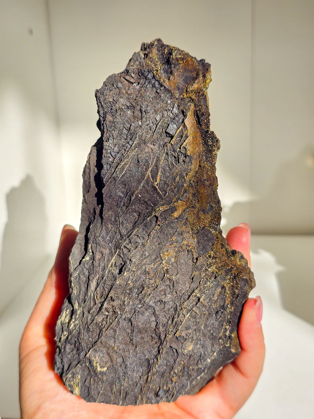 Marcasite on Petrified Wood