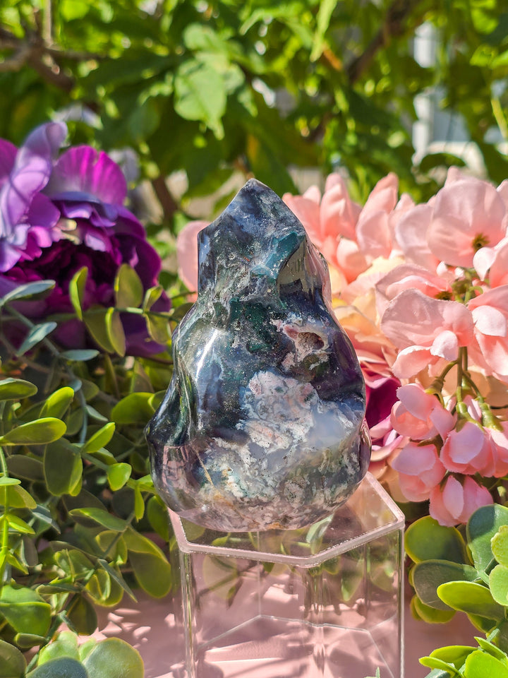 Sea Jasper Flame