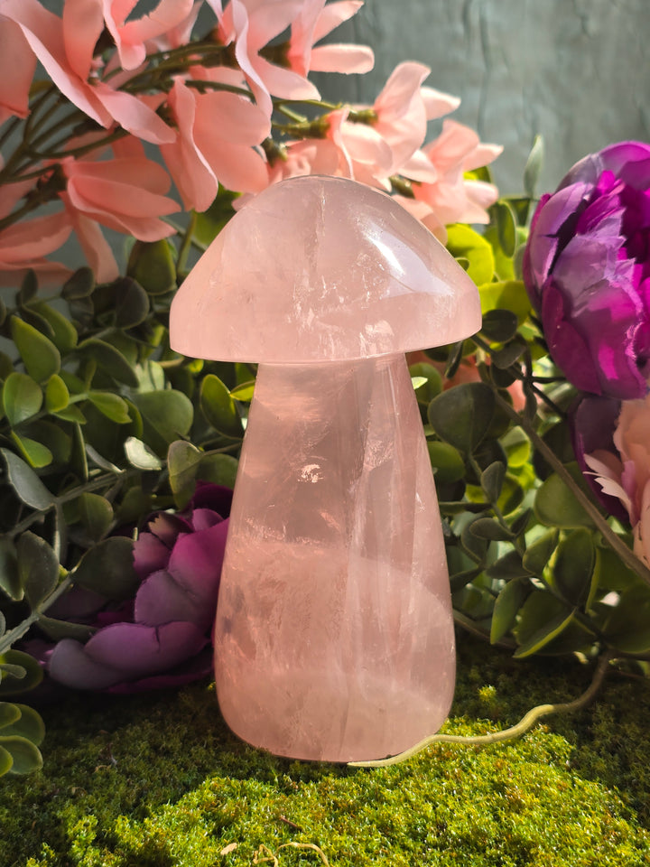Rose Quartz Mushie A