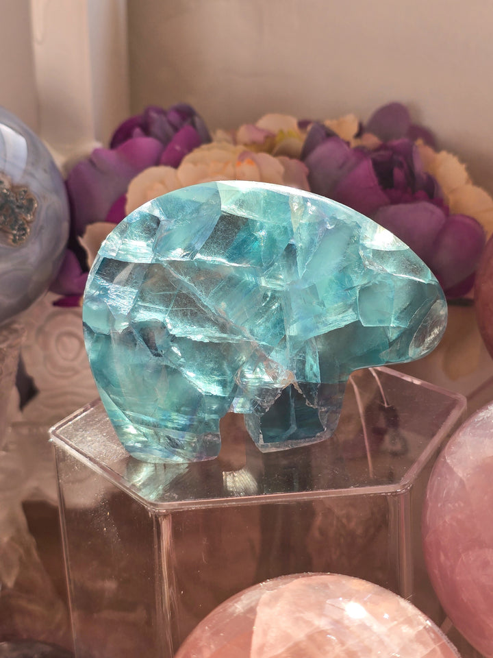 Icy Teal Polar Bear Rainbow Fluorite