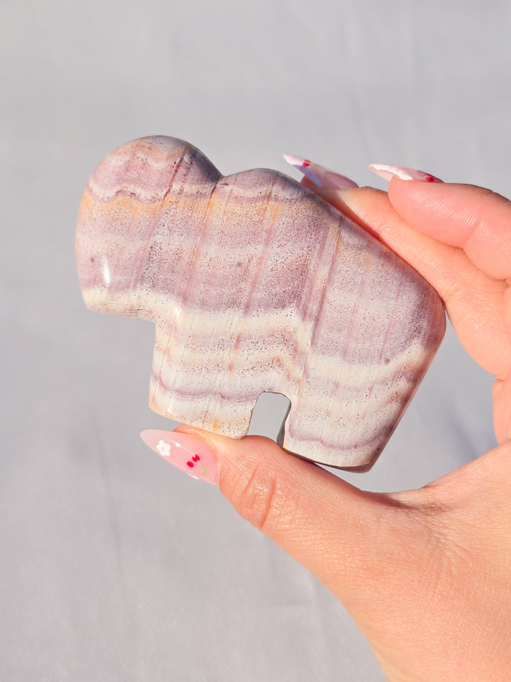 🌈 Rhyolite Bison Medium B