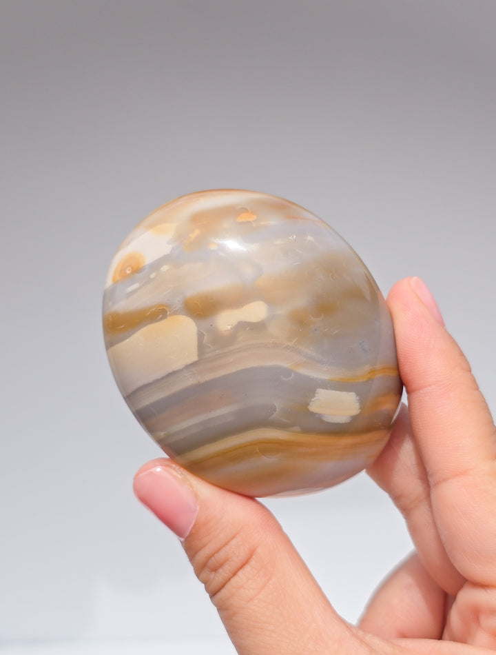 Zebra &amp; Sea Jasper Palmstones