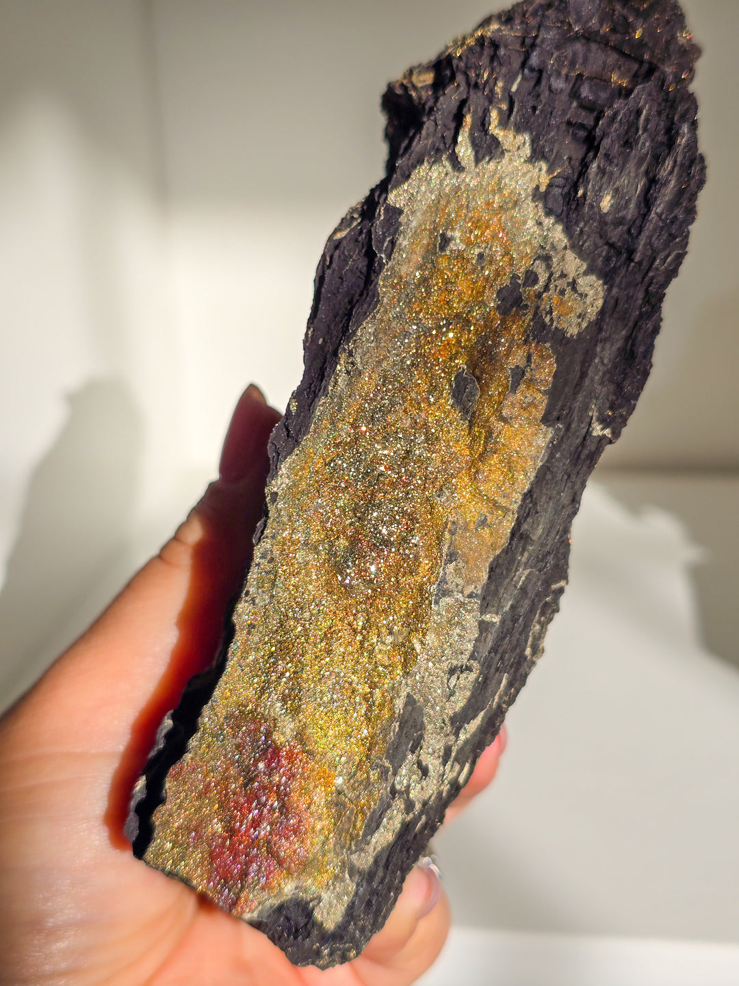 Marcasite on Petrified Wood