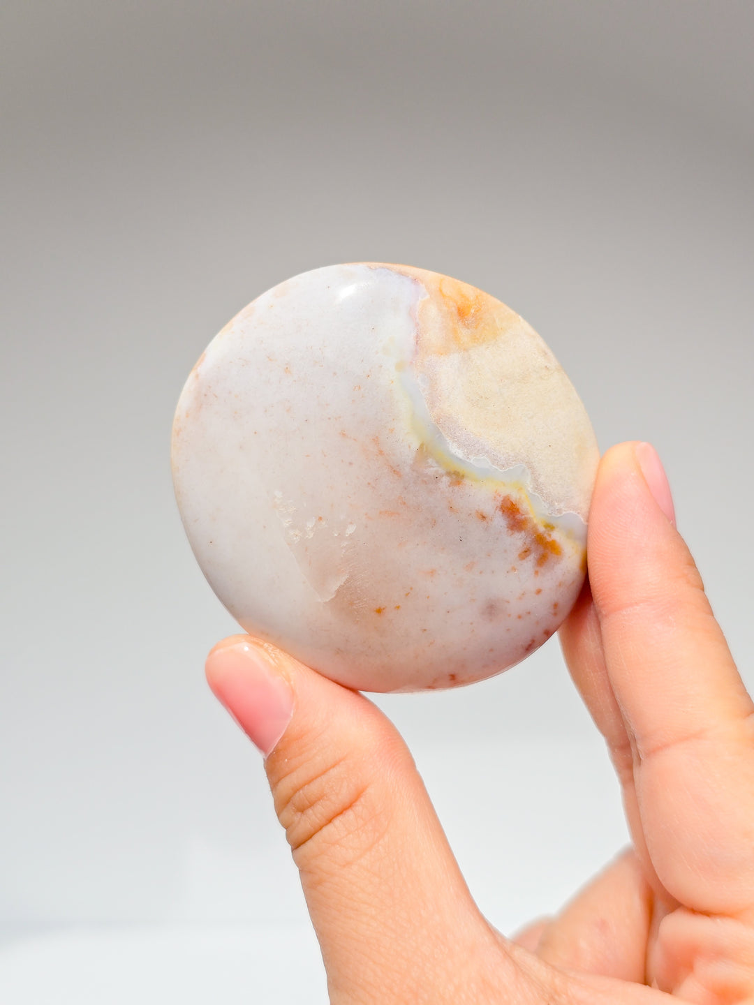 Zebra &amp; Sea Jasper Palmstones