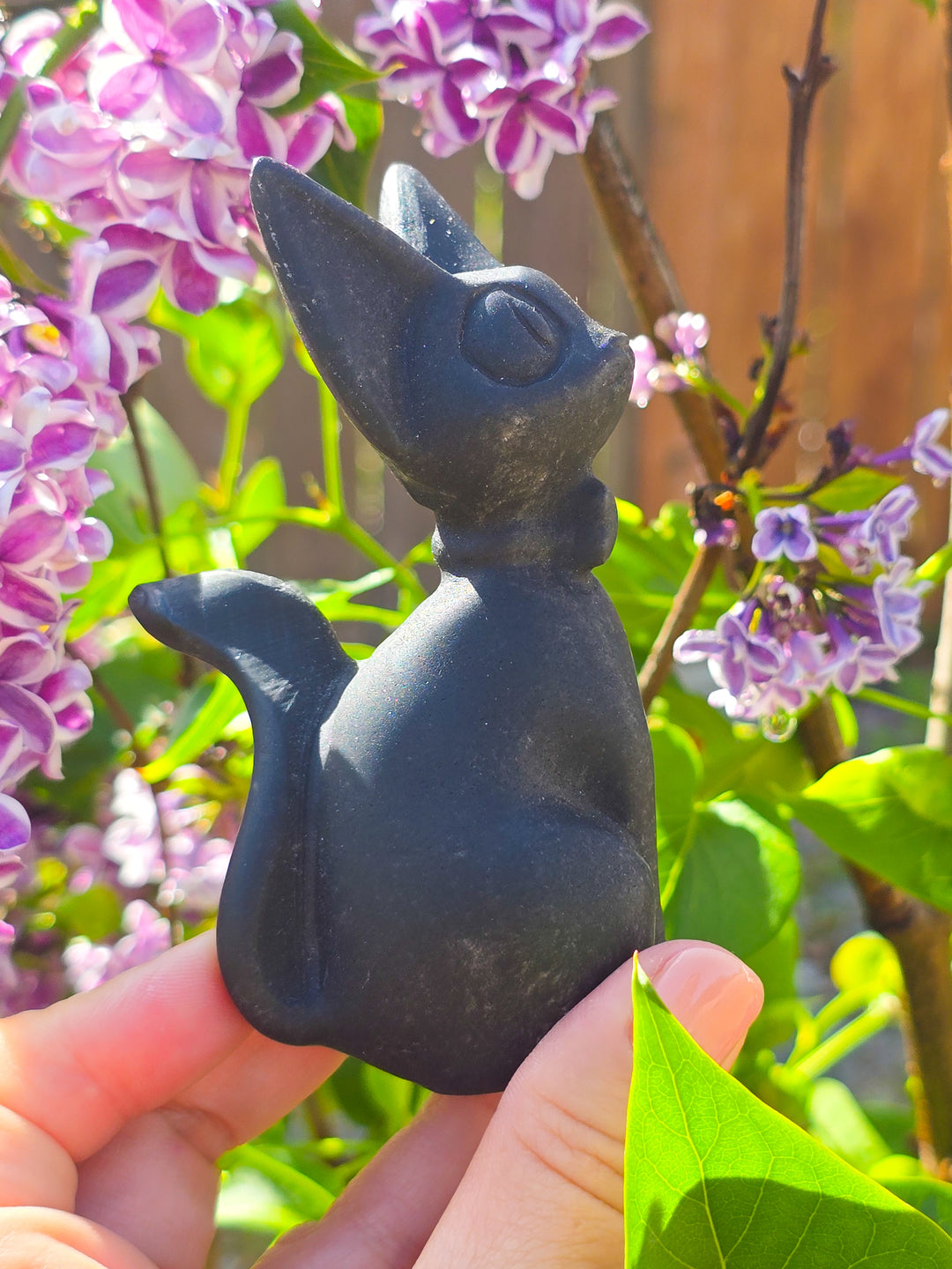 Black Obsidian JiJi Carving